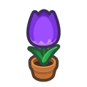 Animal Crossing Purple-tulip Plant Image