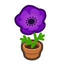 Animal Crossing Purple-windflower Plant Image