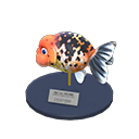 Ranchu Goldfish Model