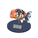 Animal Crossing Ranchu Goldfish Model Image