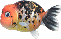 Animal Crossing Ranchu Goldfish Image