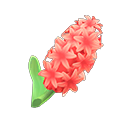 Animal Crossing Red Hyacinths Image