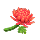 Animal Crossing Red Mums Image