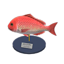 Animal Crossing Red Snapper Model Image