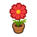 Animal Crossing Red-cosmos Plant Image