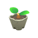 Animal Crossing Red-hibiscus Start Image