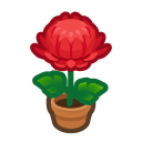 Animal Crossing Red-mum Plant Image