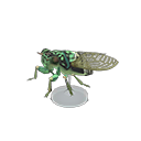 Robust Cicada Model
