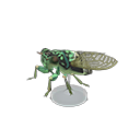 Animal Crossing Robust Cicada Model Image