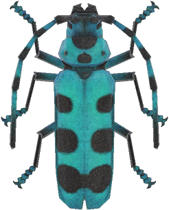 Rosalia Batesi Beetle