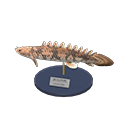 Animal Crossing Saddled Bichir Model Image