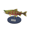  Salmon Model