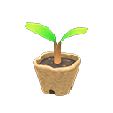 Animal Crossing Sapling Image