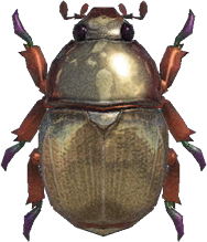 Animal Crossing Scarab Beetle Image