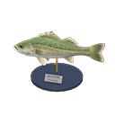  Sea Bass Model