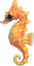 Animal Crossing Sea Horse Image