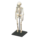 Animal Crossing Skeleton Image