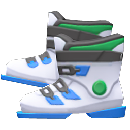 Ski Boots