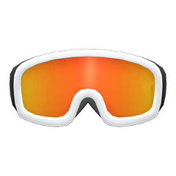 Ski Goggles