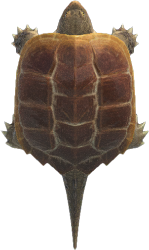 Animal Crossing Snapping Turtle Image
