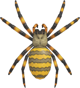 Animal Crossing Spider Image