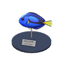 Surgeonfish Model