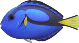 Animal Crossing Surgeonfish Image