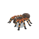 Animal Crossing Tarantula Model Image