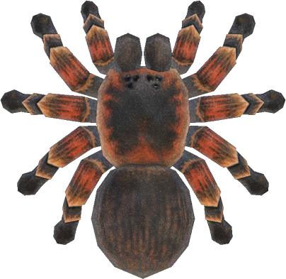 Animal Crossing Tarantula Image