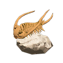 Animal Crossing Trilobite Image