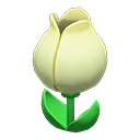Tulip Surprise Box