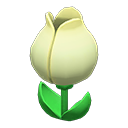 Tulip Surprise Box White