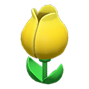 Tulip Surprise Box