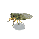 Animal Crossing Walker Cicada Model Image