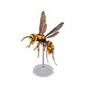 Wasp Model