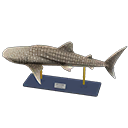 Whale Shark Model