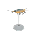 Wharf Roach Model