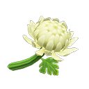 Animal Crossing White Mums Image