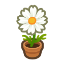 Animal Crossing White-cosmos Plant Image