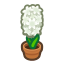 Animal Crossing White-hyacinth Plant Image