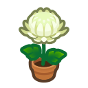 Animal Crossing White-mum Plant Image