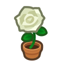 Animal Crossing White-rose Plant Image