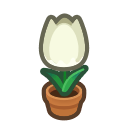 Animal Crossing White-tulip Plant Image