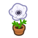 Animal Crossing White-windflower Plant Image