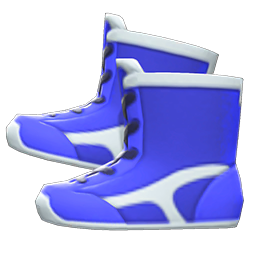 Wrestling Shoes Blue