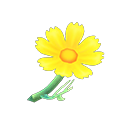 Animal Crossing Yellow Cosmos Image