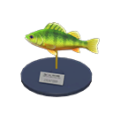 Yellow Perch Model