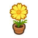 Animal Crossing Yellow-cosmos Plant Image