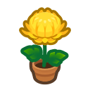 Animal Crossing Yellow-mum Plant Image