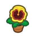 Animal Crossing Yellow-pansy Plant Image